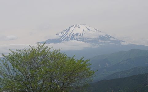 大野山から富士山を望む