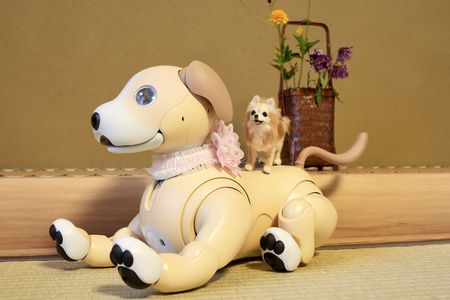 Wちょこと温泉旅行