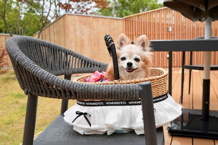 夏休み