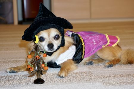 6歳の時のハロウィン
