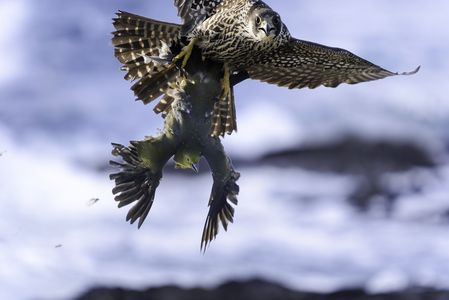 ガン見された(-_-;)