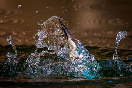 Breaking the Surface