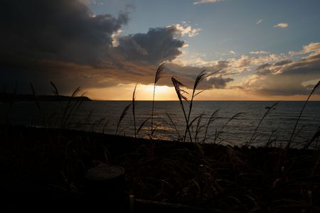 海辺で感じる秋