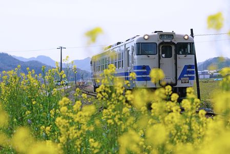 ローカル線紀行　～北条鉄道①～