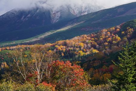 十勝の紅葉　～北の旅から～