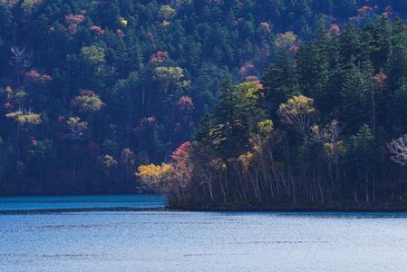 道東の秋　～北の旅から～