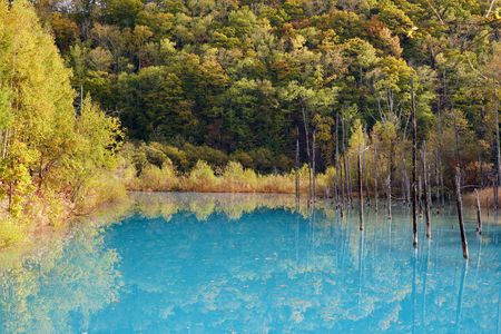 秋色の佇まい　～北の旅から～
