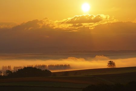 陽光に染まる　～北の旅から～