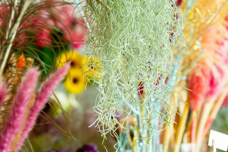 フラワーショップ