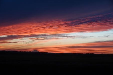 夕焼け空 　　富士山とカモ