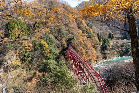 次の列車はまた来年
