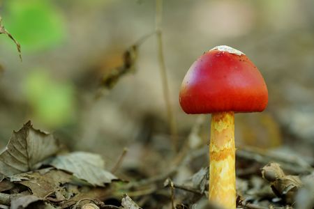 秋への足音が聞こえる