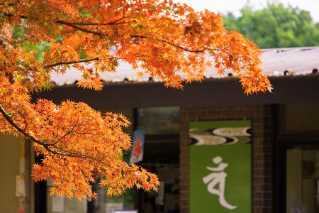 秋色の鑁阿寺