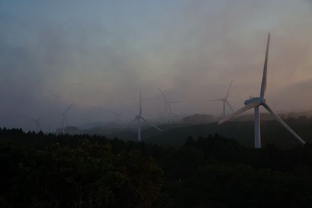 霧の高原