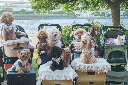 みんなでお台場meet