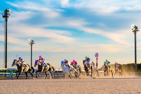 夏空薄暮に駆けよ