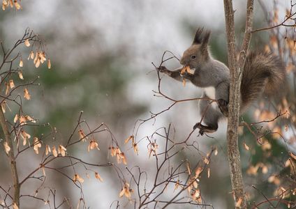 食べながらもバランス整えて
