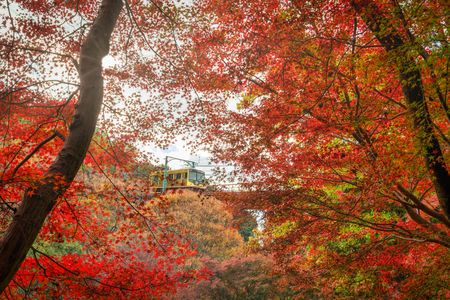 ケーブルカーと紅葉と