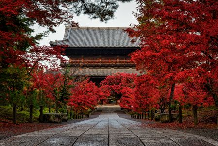 晩秋早朝の南禅寺