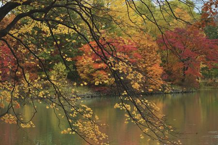 中島公園の紅葉