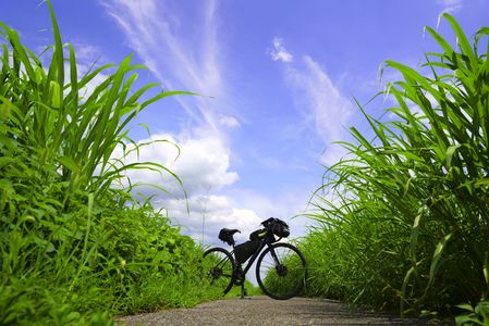 初夏のサイクリング