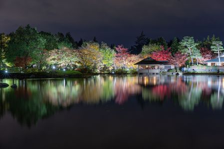 紅葉を観に行こうよ