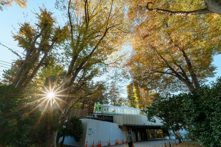 晩秋の井の頭公園