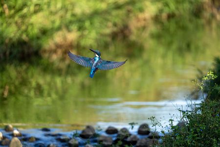 なんて美しいのでしょうか！