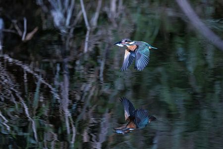 上手になったね！