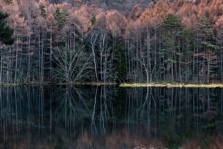 ちょっと遅かった！
