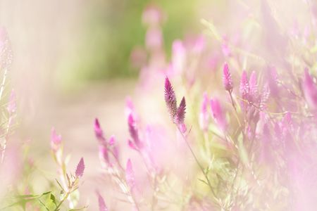 暖かい秋の日に