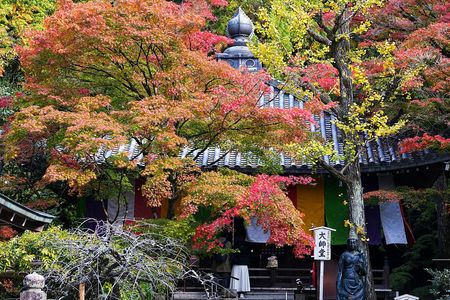 秋の⑮今熊野観音寺