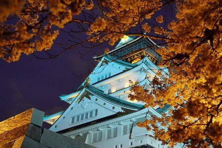 春の大阪城散策