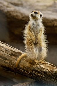 太陽待ち中～！