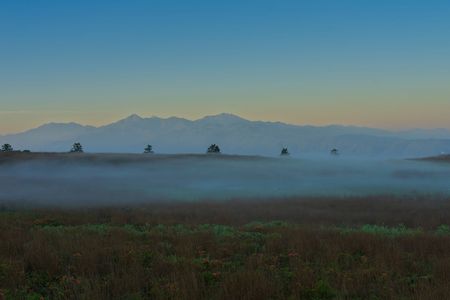 高原の朝霧