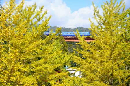 山陰本線紅葉探し