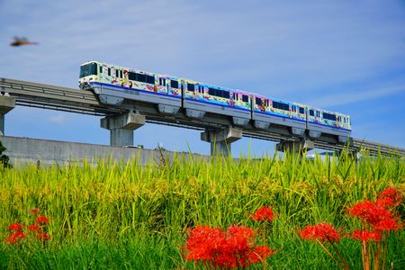 大阪モノレール　秋の田園風景