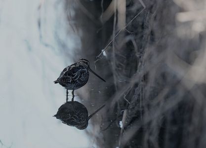 今季も、戻って来てくれた！！！！