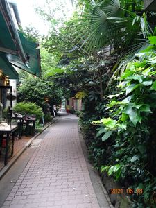 ブラームスの小径