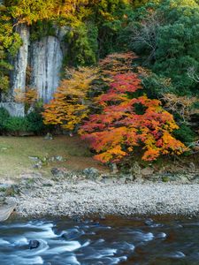 大野寺の紅葉