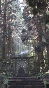 熊本で一番の思い出になった神社