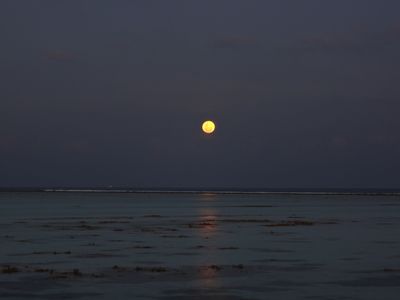 モルディブの月