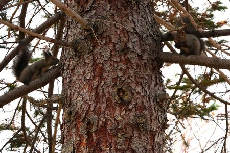 ⑥抜き足差し足