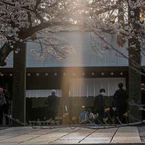 神社に一筋の光芒