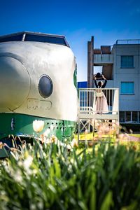 200とチューリップ