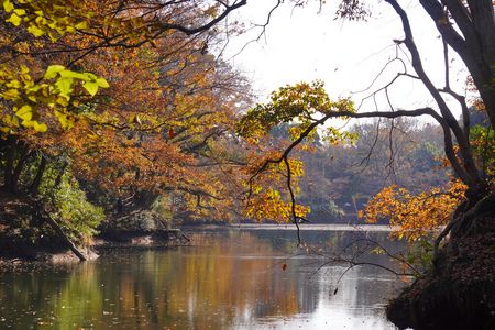 秋が訪れた湖