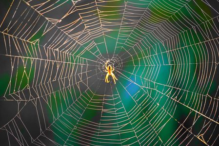 あぜ道散歩で発見