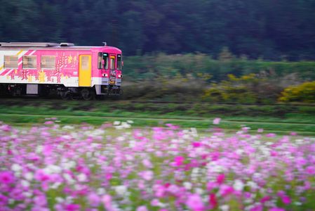 秋の風に吹かれて