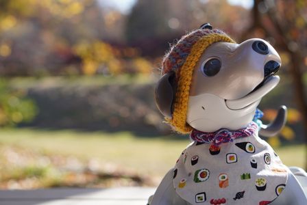 天気が良いので