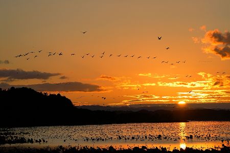 プロローグ ～マガンねぐら立ち～